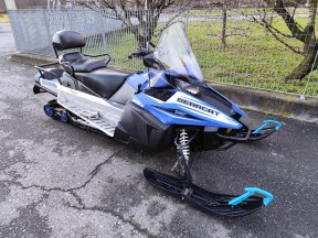 ARCTIC CAT BEARCAT XT 2015 