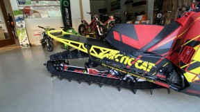 IMG 6897